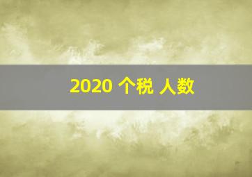 2020 个税 人数